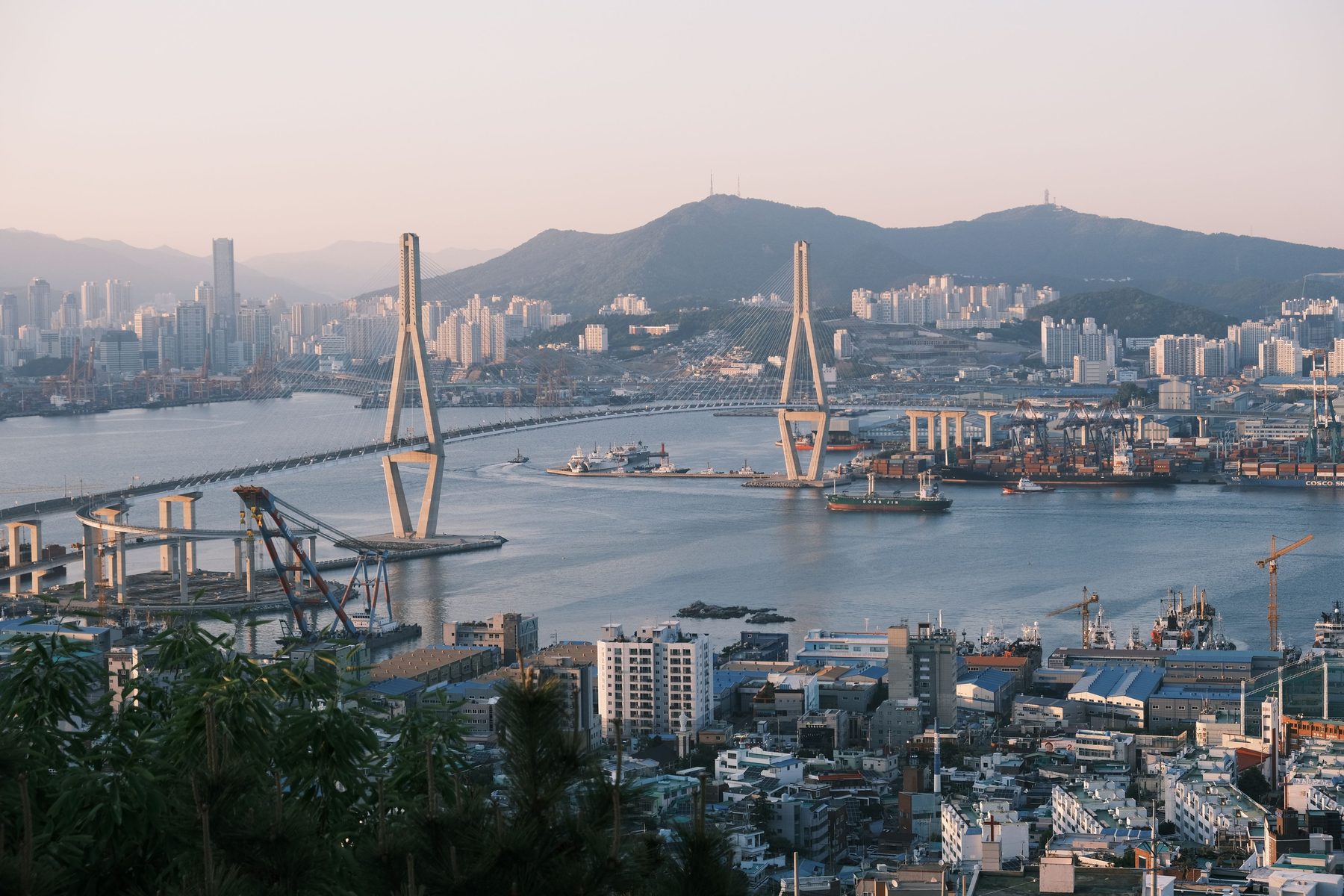 다리와 항만이 보이는 부산 전경